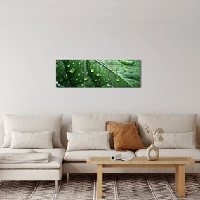 Kép - Részlet levél eső után (órával) (90x30 cm)
