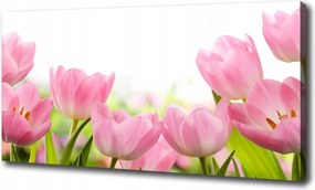 Vászonkép Rózsaszín tulipánok 120x60 cm