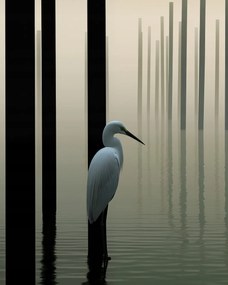 Poszter 40x50cm Köd a vízen