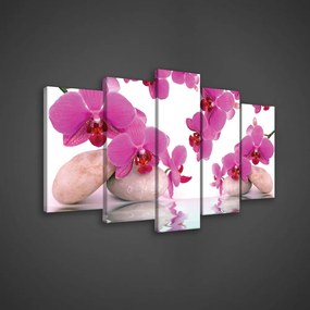 Vászonkép 5 darabos, Rózsaszín orchideák 100x60 cm méretben