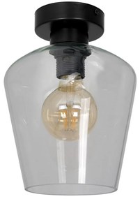 Milagro Mennyezeti lámpa SANTIAGO 1xE27/60W/230V átlátszó MI1218