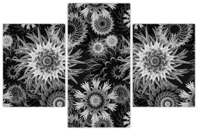 Kép - Fekete és fehér gyűszűvirág (90x60 cm)