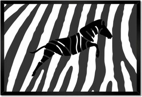 Poszter keretben 60x40 Zebra csíkos