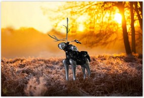 Poszterek 185x125 Chopper az erdőn