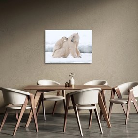 Kép - Jegesmedvék (üvegen) (70x50 cm)