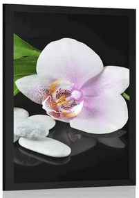 Poszter zen kövek és orchidea