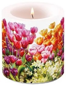 Tulips átvilágítós gyertya 8x7,5cm