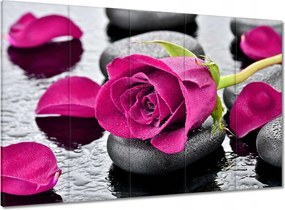 Vászonkép 100x70 Rózsaszín rózsa köveken