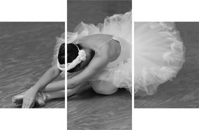 Kép - Balerina, fekete-fehér (90x60 cm)