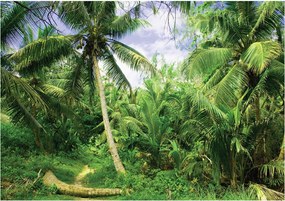 Fotótapéta Trópusi erdő pálmafák zöld vinil ösvény 312x219 +ragasztó