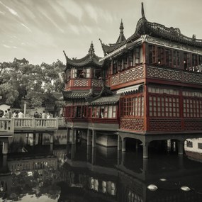 Poszter 30x30cm Yu Garden, Assaf Frank