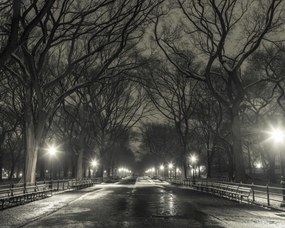 Poszter 50x40cm Éjszakai kilátás a Central Parkon át vezető útra, Assaf Frank