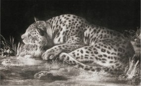 Fotótapéta Flizelin Dekoratív Hálószoba Leopárd Pihenő 416x254