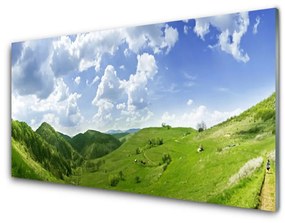 Akrilkép Mountain Meadow Nature Field 100x50 cm 2 fogas