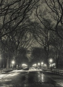 Poszter 20,5x28,4cm Éjszakai kilátás a Central Parkon át vezető útra, Assaf Frank