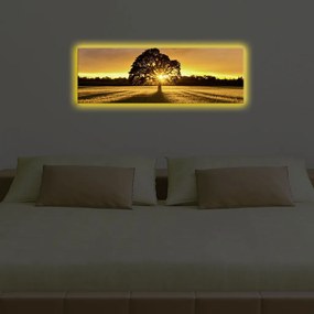 Vászonkép, 30×90 cm – 3090DACT-68