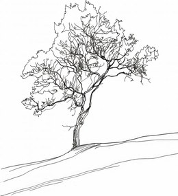 Poszter 42x59,4cm Fa vázlatban