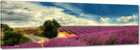 Festmények 120x40 Levendula tájkép