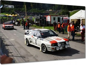 Képek 120x80 Audi Quattro a rally-n