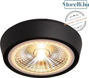 Fürdőszoba Mennyezeti Lámpa Fekete CHARON MAXLIGHT C0208