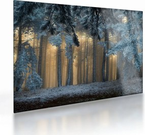 A havas erdő képe (üvegen) (70x50 cm)