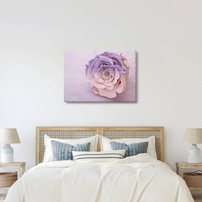 Egy rózsa virág részlete (70x50 cm)