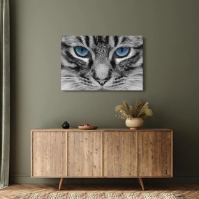 Macska képe (90x60 cm)