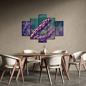 Levandula képe (150x105 cm)