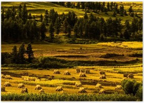 Poszterek 100x70 Tåjkép Låtvåny