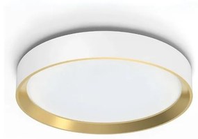 Philips - LED Dimmelhető mennyezeti lámpa HANNO LED/24W/230V 4000K fehér