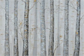 Dekoratív Fotótapéta Hálószobába Nyírfa 104x70