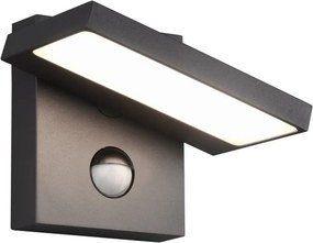 TRIO 226369142 HORTON Fali Lámpa Mozgásérzékelővel Antracit LED IP44