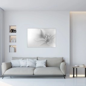 Kép - Delicate Lily (90x60 cm)