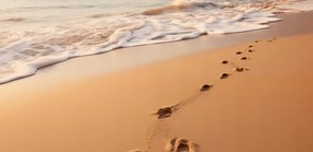 Poszter 91,3x44,5cm HullĂĄmok suttogĂĄsa