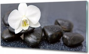 Fotó kép edzett üveg Pipacsok 100x70