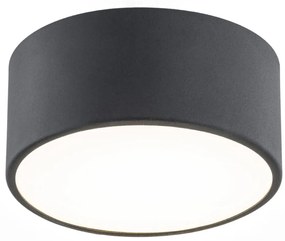 Argon Vichy mennyezeti lámpa 1x13.5 W fekete 3887