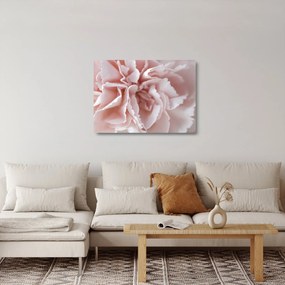 Kép - Virág részlete (üvegen) (70x50 cm)