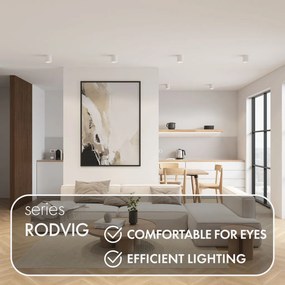 Rodvig series surface mounted ceiling downlight — DK/EU-3090-WH