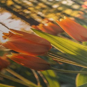 Narancssárga tulipán képe (órával) (90x30 cm)