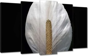 Vászonkép 100x60 Virágok