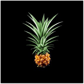Poszterek 100x100 Ananász
