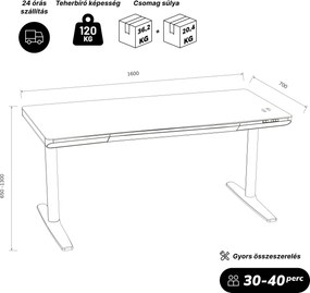 Elektromos ülő-álló íróasztal fiókkal és Qi vezeték nélküli töltővel fekete, 1600 mm: ELLIS
