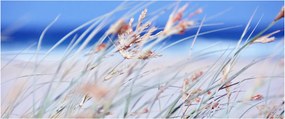Kép - Szellő (120x50 cm)