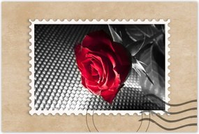 Poszter 60x40 Rózsa nőknek