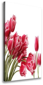 Vászonkép nyomtatás Piros tulipánok ocv-109710799