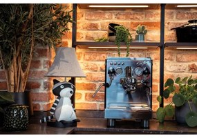 Happy Lamps - LED Asztali gyereklámpa BEN LED/5,4W/230V mosómedve