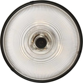 Quoizel MANTLE QZ-MANTLE-SF-PN Plafonlámpa 2x60W/E27