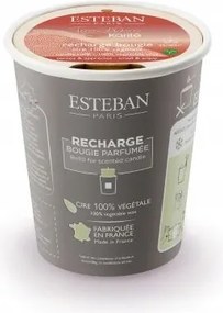 Esteban illatgyertya utántöltő Terre d'Ocre Karité 180 g
