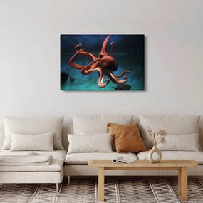 Kép - Octopus (90x60 cm)