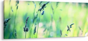 Kép - Rét részlete (120x50 cm)